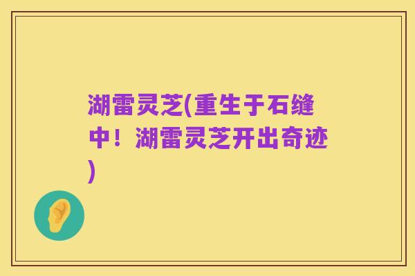 湖雷灵芝(重生于石缝中!湖雷灵芝开出奇迹)