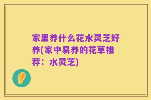 家里养什么花水灵芝好养(家中易养的花草推荐:水灵芝)
