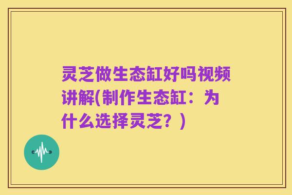 灵芝做生态缸好吗视频讲解(制作生态缸:为什么选择灵芝?)