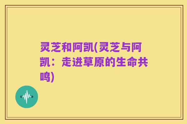 灵芝和阿凯(灵芝与阿凯:走进草原的生命共鸣)