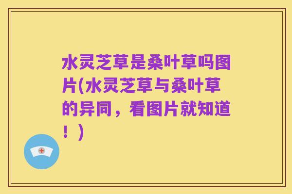 水灵芝草是桑叶草吗图片(水灵芝草与桑叶草的异同，看图片就知道！)
