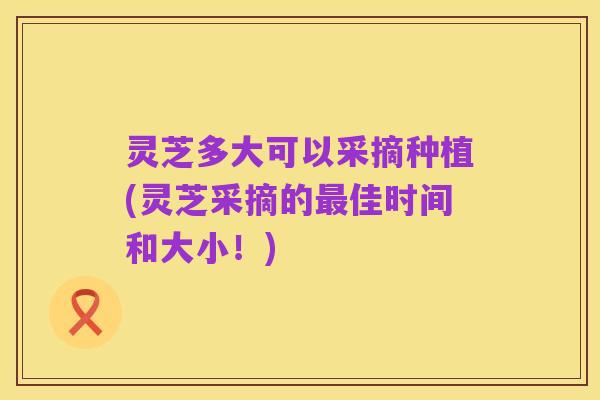 灵芝多大可以采摘种植(灵芝采摘的最佳时间和大小!)