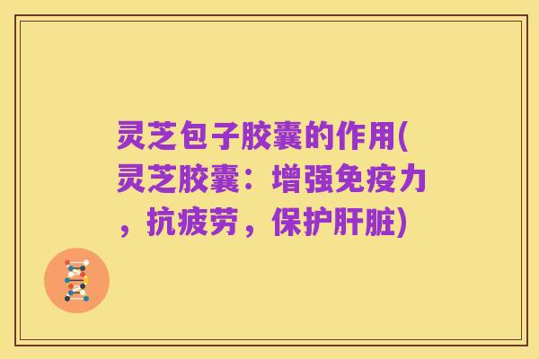 灵芝包子胶囊的作用(灵芝胶囊：增强免疫力，抗疲劳，保护肝脏)