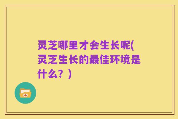 灵芝哪里才会生长呢(灵芝生长的最佳环境是什么?)