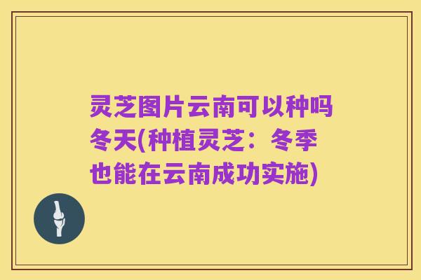 灵芝图片云南可以种吗冬天(种植灵芝:冬季也能在云南成功实施)