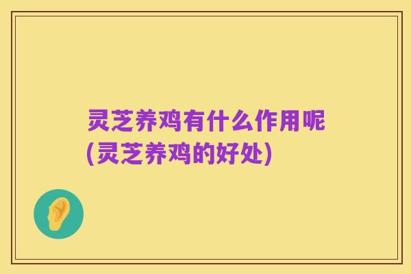 灵芝养鸡有什么作用呢(灵芝养鸡的好处)