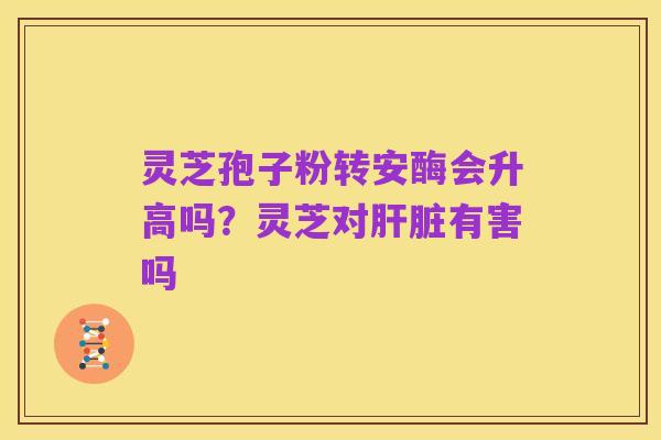 灵芝孢子粉转安酶会升高吗?灵芝对肝脏有害吗