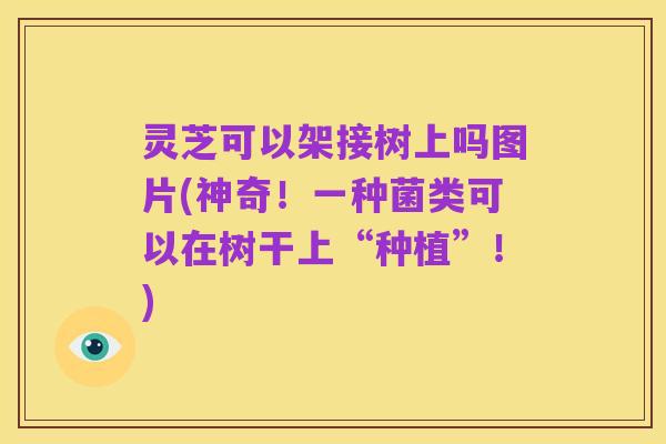 灵芝可以架接树上吗图片(神奇!一种菌类可以在树干上“种植”!)