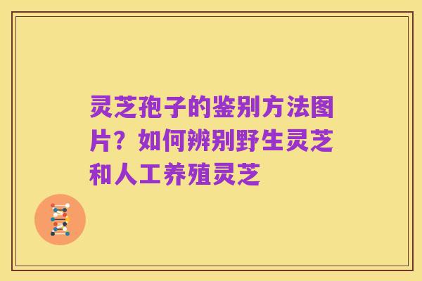 灵芝孢子的鉴别方法图片？如何辨别野生灵芝和人工养殖灵芝