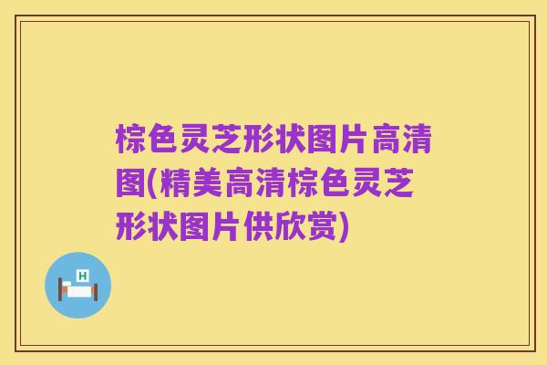棕色灵芝形状图片高清图(精美高清棕色灵芝形状图片供欣赏)
