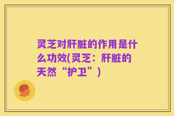 灵芝对肝脏的作用是什么功效(灵芝:肝脏的天然“护卫”)