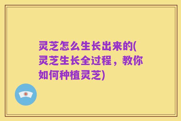 灵芝怎么生长出来的(灵芝生长全过程，教你如何种植灵芝)