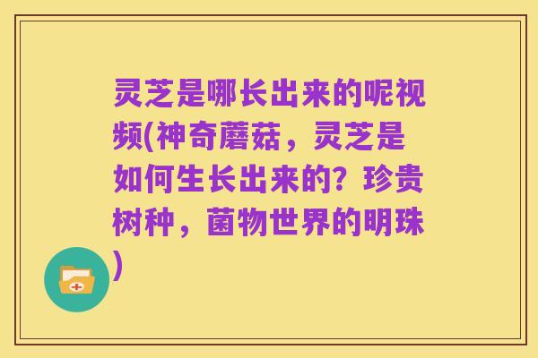 灵芝是哪长出来的呢视频(神奇蘑菇，灵芝是如何生长出来的？珍贵树种，菌物世界的明珠)