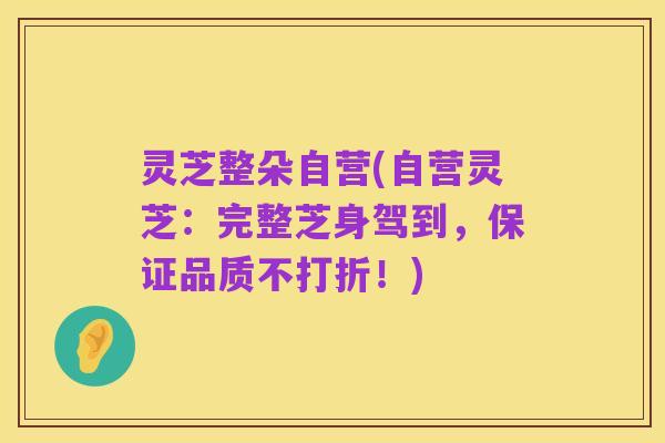 灵芝整朵自营(自营灵芝:完整芝身驾到,保证品质不打折!)