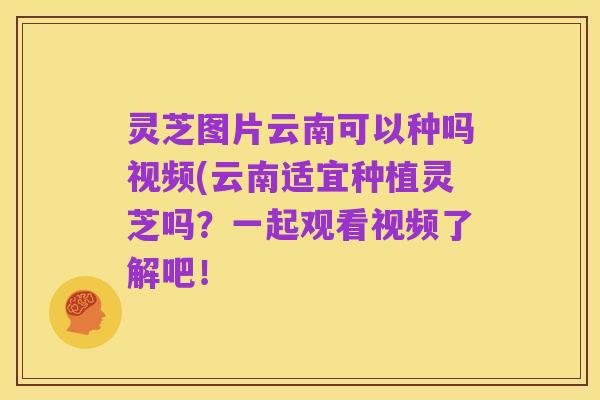 灵芝图片云南可以种吗视频(云南适宜种植灵芝吗?一起观看视频了解吧!