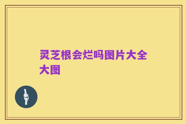 灵芝根会烂吗图片大全大图