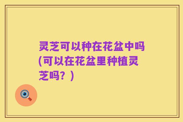 灵芝可以种在花盆中吗(可以在花盆里种植灵芝吗?)