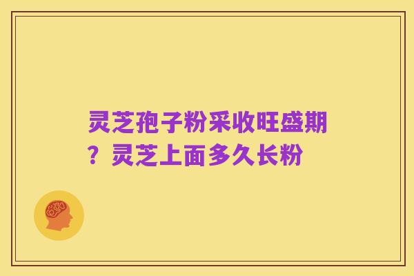 灵芝孢子粉采收旺盛期?灵芝上面多久长粉