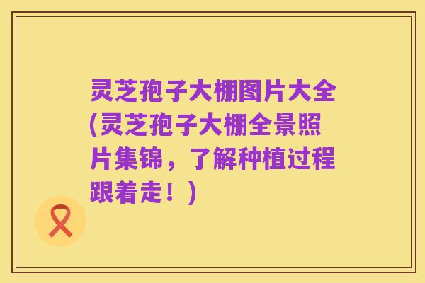 灵芝孢子大棚图片大全(灵芝孢子大棚全景照片集锦,了解种植过程跟着走!)