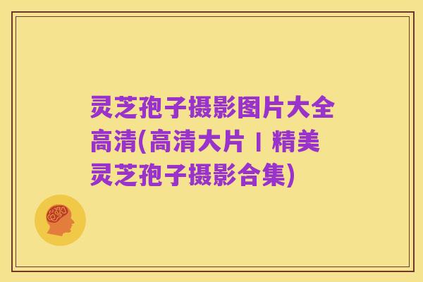 灵芝孢子摄影图片大全高清(高清大片丨精美灵芝孢子摄影合集)
