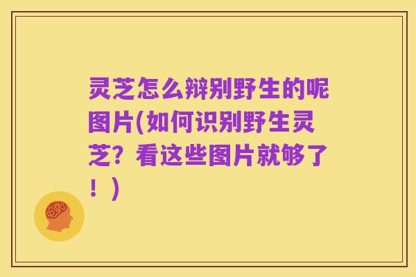 灵芝怎么辩别野生的呢图片(如何识别野生灵芝？看这些图片就够了！)