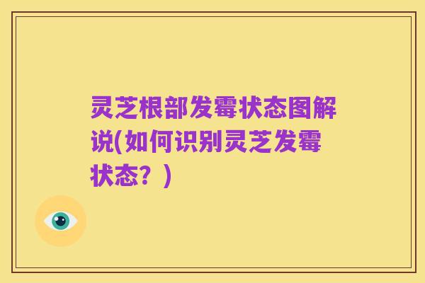 灵芝根部发霉状态图解说(如何识别灵芝发霉状态?)