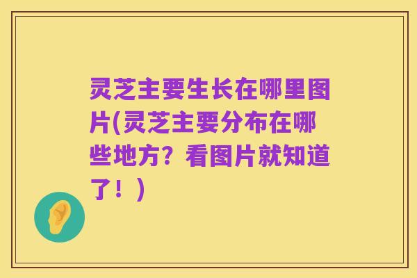 灵芝主要生长在哪里图片(灵芝主要分布在哪些地方?看图片就知道了!)
