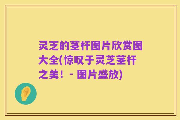 灵芝的茎杆图片欣赏图大全(惊叹于灵芝茎杆之美!- 图片盛放)