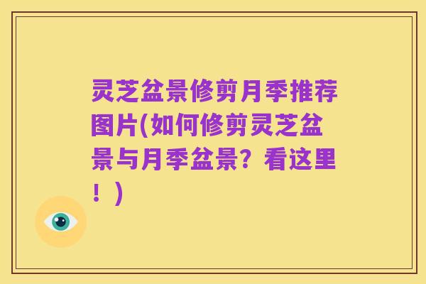 灵芝盆景修剪月季推荐图片(如何修剪灵芝盆景与月季盆景?看这里!)