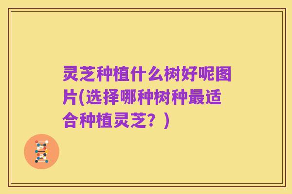 灵芝种植什么树好呢图片(选择哪种树种最适合种植灵芝?)