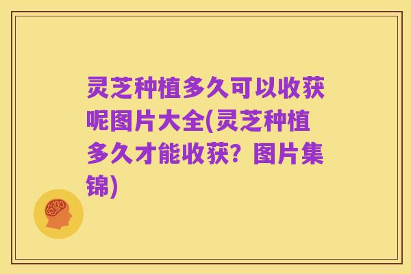 灵芝种植多久可以收获呢图片大全(灵芝种植多久才能收获？图片集锦)
