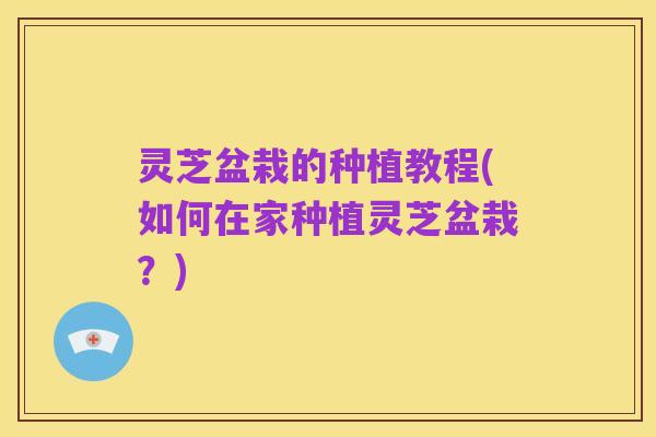 灵芝盆栽的种植教程(如何在家种植灵芝盆栽?)
