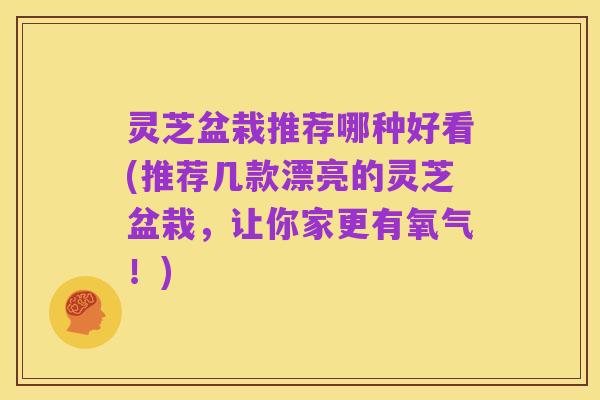 灵芝盆栽推荐哪种好看(推荐几款漂亮的灵芝盆栽,让你家更有氧气!)