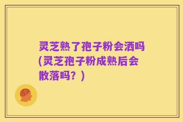 灵芝熟了孢子粉会洒吗(灵芝孢子粉成熟后会散落吗?)