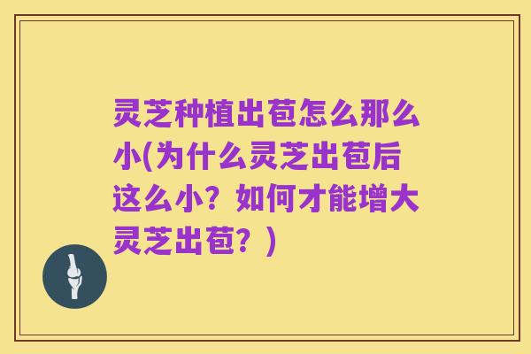 灵芝种植出苞怎么那么小(为什么灵芝出苞后这么小？如何才能增大灵芝出苞？)