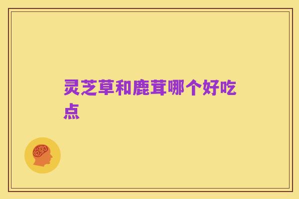 灵芝草和鹿茸哪个好吃点