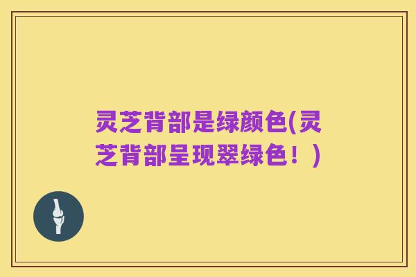 灵芝背部是绿颜色(灵芝背部呈现翠绿色!)
