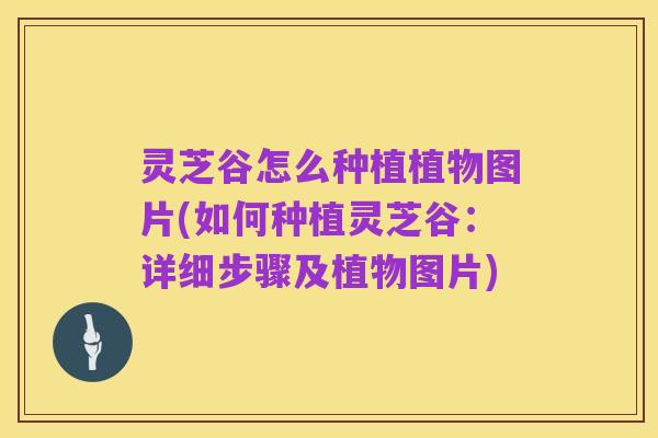 灵芝谷怎么种植植物图片(如何种植灵芝谷：详细步骤及植物图片)
