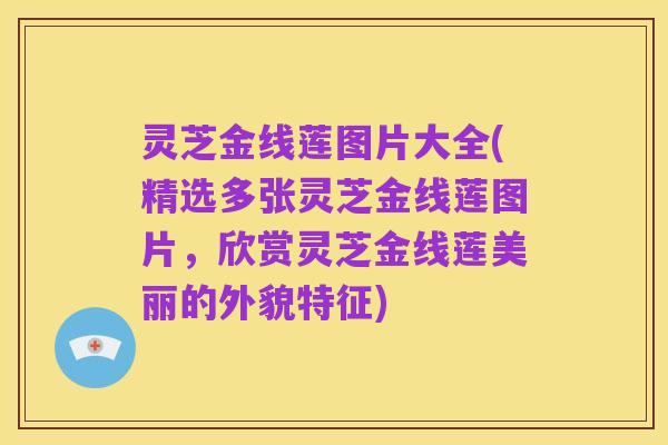 灵芝金线莲图片大全(精选多张灵芝金线莲图片,欣赏灵芝金线莲美丽的外貌特征)