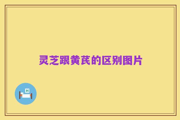 灵芝跟黄芪的区别图片
