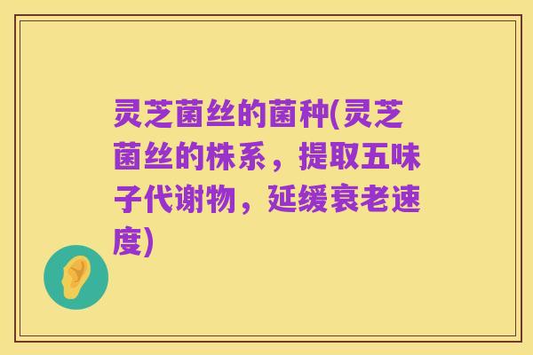 灵芝菌丝的菌种(灵芝菌丝的株系,提取五味子代谢物,延缓衰老速度)