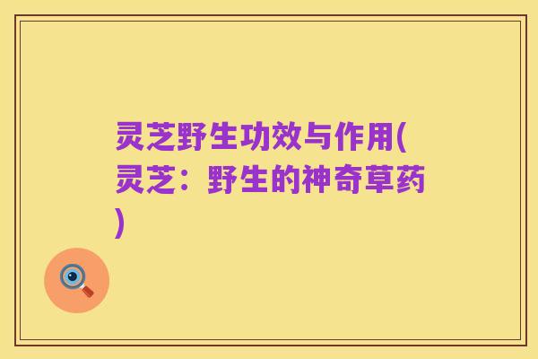 灵芝野生功效与作用(灵芝:野生的神奇草药)