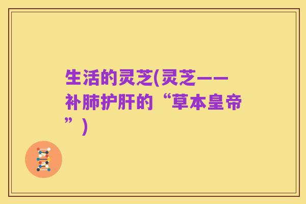 生活的灵芝(灵芝——补肺护肝的“草本皇帝”)