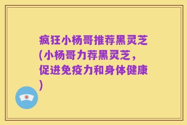 疯狂小杨哥推荐黑灵芝(小杨哥力荐黑灵芝,促进免疫力和身体健康)