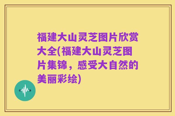 福建大山灵芝图片欣赏大全(福建大山灵芝图片集锦,感受大自然的美丽彩绘)