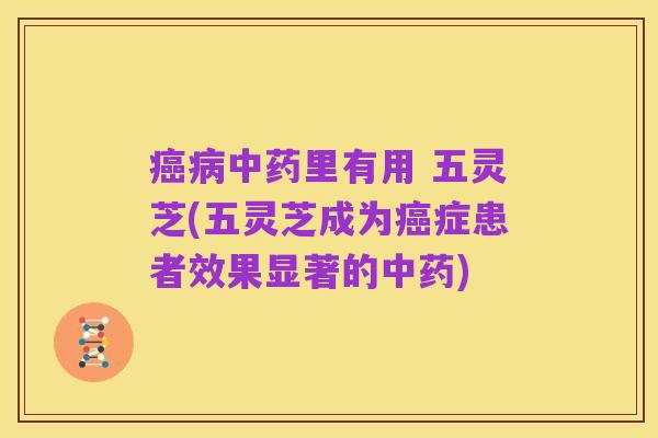 癌病中药里有用 五灵芝(五灵芝成为癌症患者效果显著的中药)