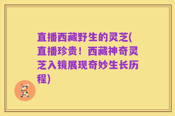直播西藏野生的灵芝(直播珍贵！西藏神奇灵芝入镜展现奇妙生长历程)