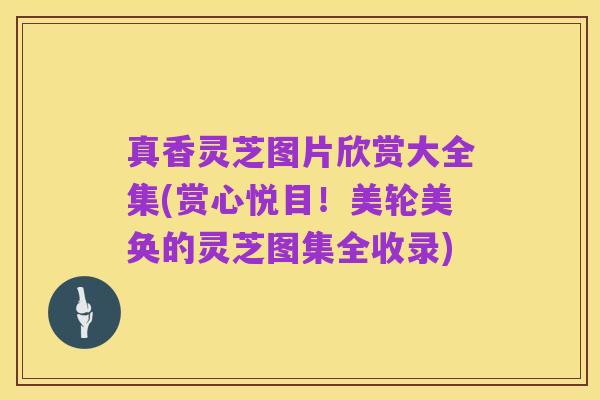 真香灵芝图片欣赏大全集(赏心悦目!美轮美奂的灵芝图集全收录)
