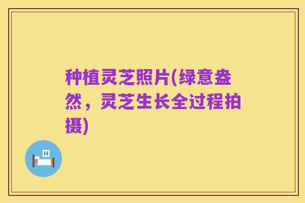 种植灵芝照片(绿意盎然,灵芝生长全过程拍摄)