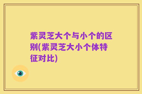 紫灵芝大个与小个的区别(紫灵芝大小个体特征对比)